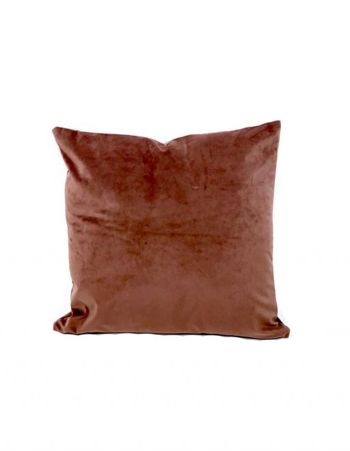 Blush Velvet Pillow - 20"x20"