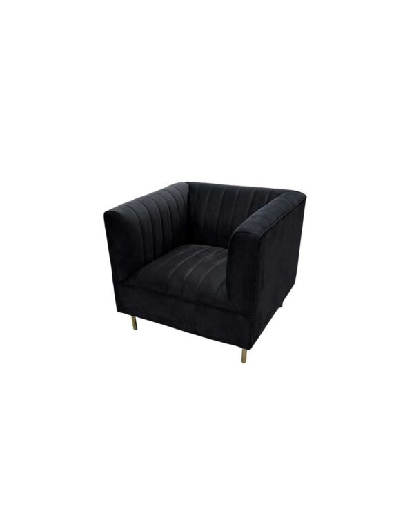 Black Velvet Delancy Side Chair